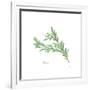 Rosemary V2-Chris Paschke-Framed Premium Giclee Print