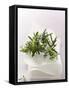 Rosemary with Flowers on White Cloth-null-Framed Stretched Canvas