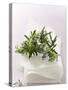 Rosemary with Flowers on White Cloth-null-Stretched Canvas