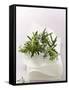 Rosemary with Flowers on White Cloth-null-Framed Stretched Canvas