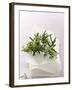 Rosemary with Flowers on White Cloth-null-Framed Photographic Print