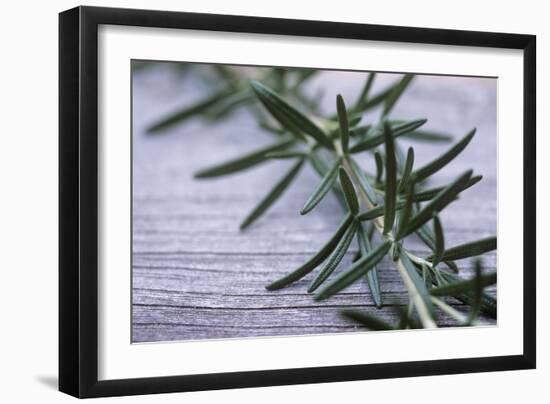 Rosemary-Maxine Adcock-Framed Premium Photographic Print