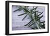 Rosemary-Maxine Adcock-Framed Premium Photographic Print