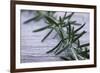 Rosemary-Maxine Adcock-Framed Photographic Print