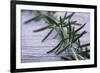 Rosemary-Maxine Adcock-Framed Photographic Print