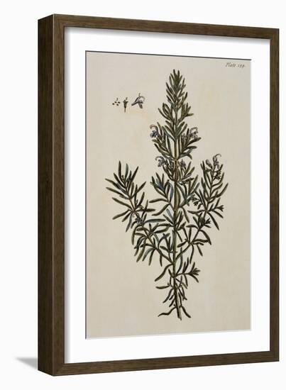 Rosemary-Elizabeth Blackwell-Framed Giclee Print