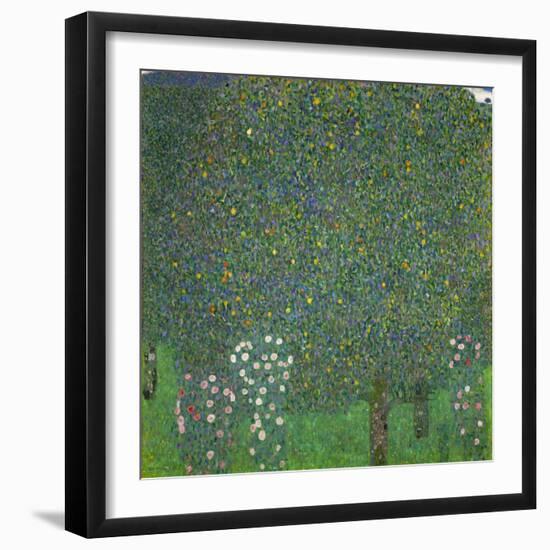 Rosen unter Bäumen. Um 1904-Gustav Klimt-Framed Giclee Print