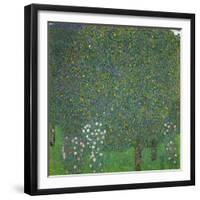 Rosen unter Bäumen. Um 1904-Gustav Klimt-Framed Giclee Print