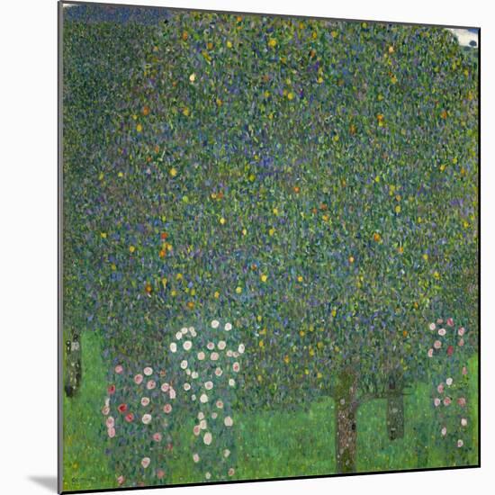 Rosen unter Bäumen. Um 1904-Gustav Klimt-Mounted Giclee Print