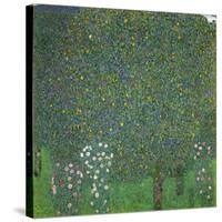Rosen unter Bäumen. Um 1904-Gustav Klimt-Stretched Canvas