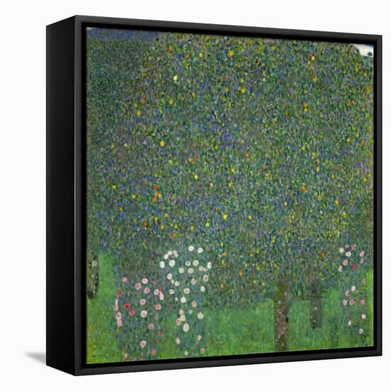 Rosen unter Bäumen. Um 1904-Gustav Klimt-Framed Stretched Canvas