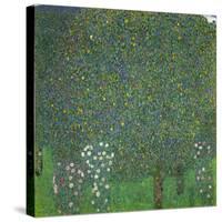 Rosen unter Bäumen. Um 1904-Gustav Klimt-Stretched Canvas