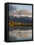 Rosengarten, Catinaccio mountain range in the dolomites of South Tyrol, Alto Adige-Martin Zwick-Framed Stretched Canvas