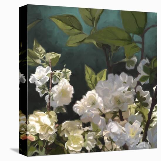 Roses 01-Rick Novak-Stretched Canvas