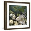 Roses 01-Rick Novak-Framed Art Print