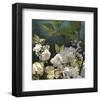 Roses 01-Rick Novak-Framed Art Print