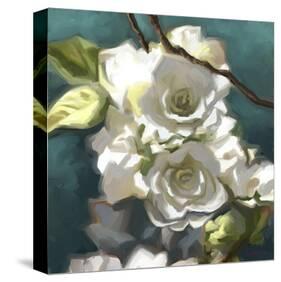 Roses 07-Rick Novak-Stretched Canvas