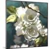Roses 07-Rick Novak-Mounted Art Print