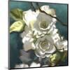 Roses 07-Rick Novak-Mounted Art Print