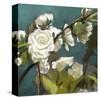 Roses 09-Rick Novak-Stretched Canvas