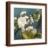 Roses 09-Rick Novak-Framed Art Print