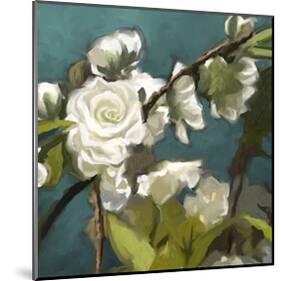 Roses 09-Rick Novak-Mounted Art Print