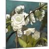 Roses 09-Rick Novak-Mounted Art Print