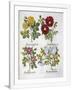 Gramercy White