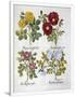 Gramercy White