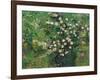 Roses, 1889-Vincent van Gogh-Framed Giclee Print