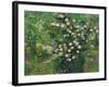 Roses, 1889-Vincent van Gogh-Framed Giclee Print