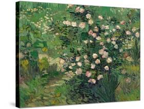 Roses, 1889-Vincent van Gogh-Stretched Canvas