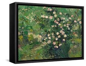 Roses, 1889-Vincent van Gogh-Framed Stretched Canvas
