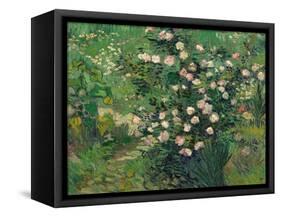 Roses, 1889-Vincent van Gogh-Framed Stretched Canvas