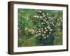 Roses, 1889-Vincent van Gogh-Framed Giclee Print