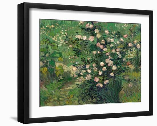 Roses, 1889-Vincent van Gogh-Framed Giclee Print