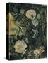 Roses, 1890-Vincent van Gogh-Stretched Canvas