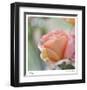 Roses 2-Florence Delva-Framed Limited Edition