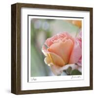 Roses 2-Florence Delva-Framed Limited Edition