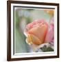 Roses 2-Florence Delva-Framed Limited Edition