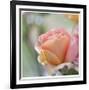 Roses 2-Florence Delva-Framed Limited Edition