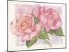 Roses 2-Maria Trad-Mounted Giclee Print