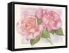 Roses 2-Maria Trad-Framed Stretched Canvas