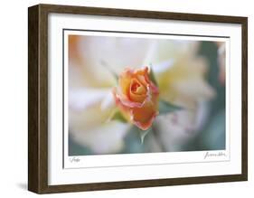 Roses 3-Florence Delva-Framed Limited Edition