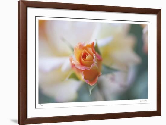 Roses 3-Florence Delva-Framed Limited Edition