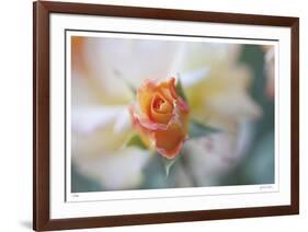 Roses 3-Florence Delva-Framed Limited Edition