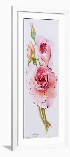 Roses (Abraham Derby), 2010-Joan Thewsey-Framed Giclee Print