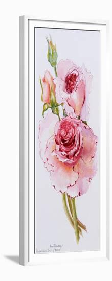 Roses (Abraham Derby), 2010-Joan Thewsey-Framed Giclee Print