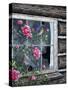 Roses and Bluebirds-Jeff Tift-Stretched Canvas