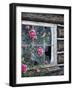 Roses and Bluebirds-Jeff Tift-Framed Giclee Print